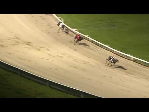 2017 STAR SPORTS DERBY - ROUND 1 HEAT 10 - KING KID