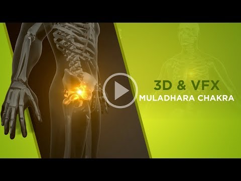 3D & VFX | Human body with bones | Placement of the Muladhara Chakra