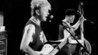 Stray Cats - Gina (Live)