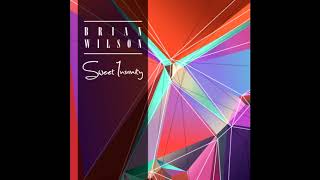 Brian Wilson - Save the Day (aka The Power of Love)