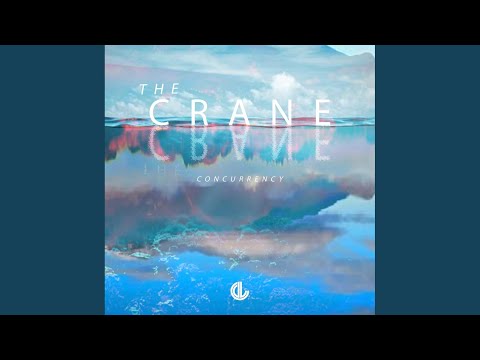 The Crane (Kevin Aleksander Remix)