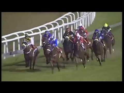 2019.07.27 Champions Cup (RSA) - Rainbow Bridge