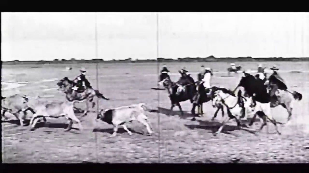 SÉPTIMO PARALELO - PELICULA