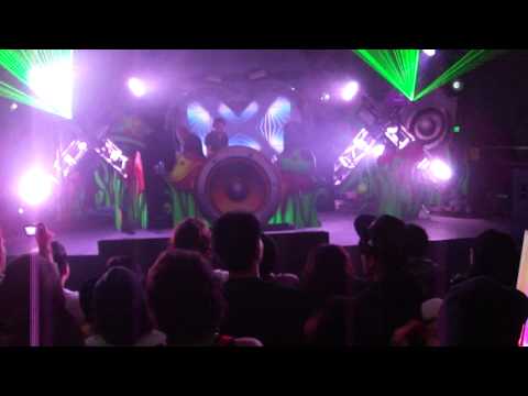 Arty @ Love Groove 2011