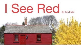 I SEE RED for Cortical Visual Impairment (CVI) gameplay video by Mgraves, 7:04 duration