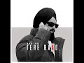 Wazir Patar - Tere Baad (Official Video)