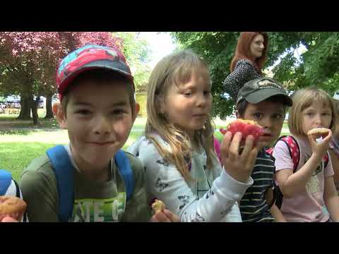 DNEVNIK 20.05.2022. Osječka televizija
