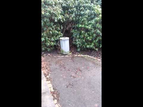 Jabina Fido finding jacket in the bush