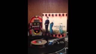 Gatos locos ( noche y dia )