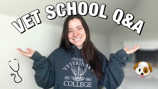 VET SCHOOL Q&A: answering your questions about vet school and the application process!