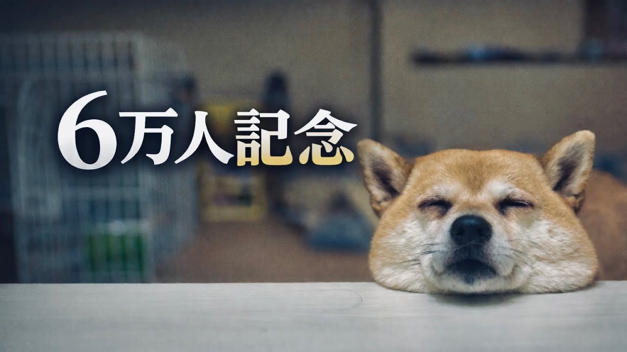 60000人ありがとう。そしてこれからの事