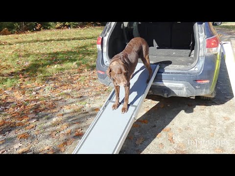 Review: PetSafe Telescoping Dog Ramp
