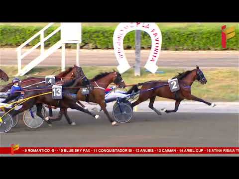 VI Corsa del 28 Giugno 2023 - TQQ - 5 Anni ed oltre - Metri 1600