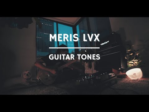 PRS Custom 22 Tremolo - Maple Fretboard - Unique PRS from 2018! image 17