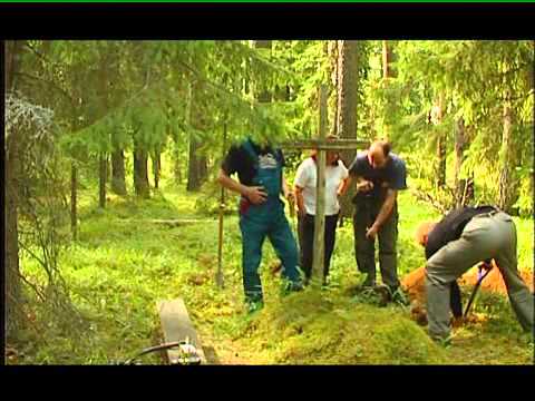 Metsavennad voodi ees