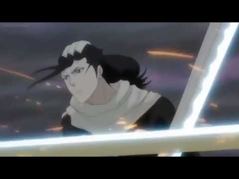 All Kuchiki Byakuya Fights
