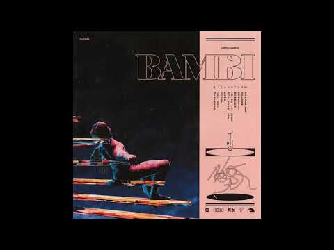 Hippo Campus - Why Even Try (Audio)