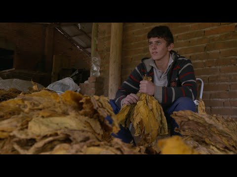 Documentário Ser Criança - um olhar para a infância e a juventude diante do trabalho no Brasil