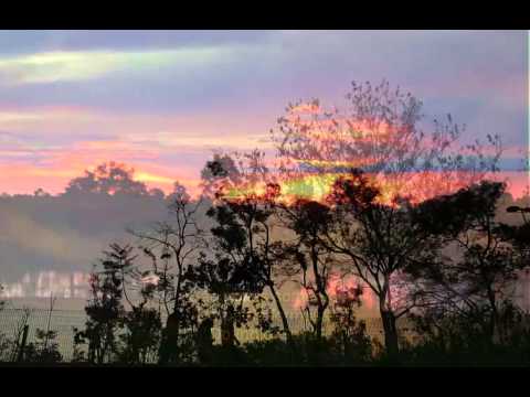 Noites Goianas video