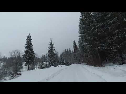 Hai in Bucovina!!!❄️❄️❄️