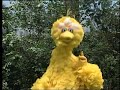 Classic Sesame Street Big Bird Number Tag One More Time