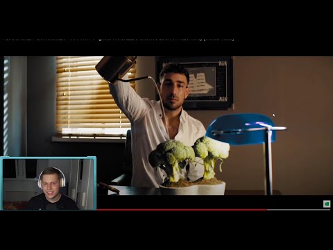 David reagiert auf PLUSMACHER - BOTANIKKER - PAFF PAFF