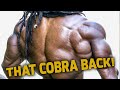COBRA BACK WORKOUT FOR THICKNESS
