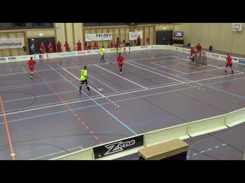 DGF Team Aarau vs. Basel Regio (06. November 2016)