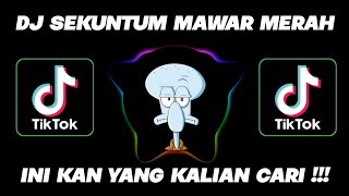 Download lagu DJ BUNGA MAWAR MERAH SATU TANDA CINTA REMIX TERBARU 2021 VIRAL TIKTOK/STORYWA mp3 Download lagu DJ BUNGA MAWAR MERAH SATU TANDA CINTA REMIX TERBARU 2021 VIRAL TIKTOK/STORYWA mp3