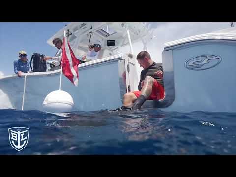 2026 Sea Fox 328 Commander Black Label Marine Video