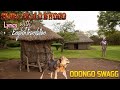 ODONGO SWAGG NEW SONG SIMBA OKALO BUOGO LYRICS WITH ENGLISH TRANSLATION