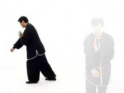 Wu Style Tai Chi Chuan - Vol 1 - 108 Standard Form