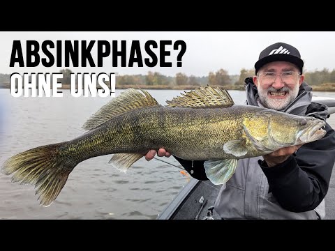 New Zander Guide: works EVERYWHERE (where there are GOBIES!!!)