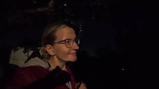 Rudens darbai kieme.  Patiekalas, kuriam reikia VIENO puodo.