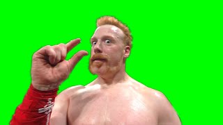 Sheamus "are you not entertained?" green screen