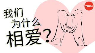 我们为什么相爱？哲学探究 - Skye C. Cleary