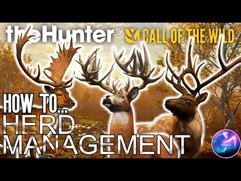 HOW TO... A Guide On How To Get Started With Herd Management. | Call Of The Wild.