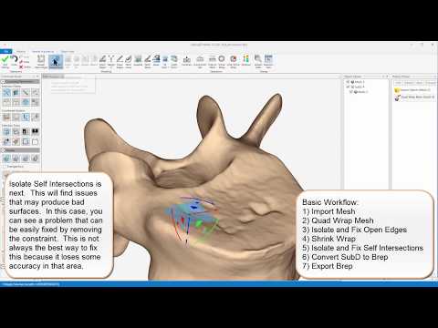 Solids# MeshToCAD Basic Usage