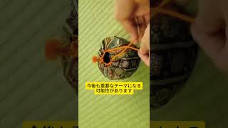 なぜ今、世界の投資マネーは日本の半導体に注目しているのか？