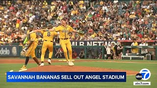 Viral sensation Savannah Bananas take over Angel Stadium this weekend