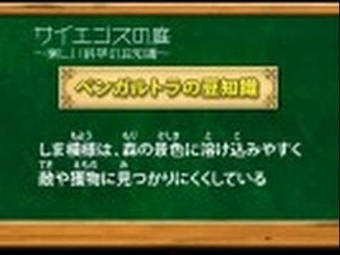 庭の知識:樹皮 自然と動物