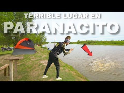 QUE PESCA en PARANACITO! HERMOSO LUGAR NUEVO, LLEGAS EN AUTO, es BARATO, Y tiene MUCHA COSTA! 