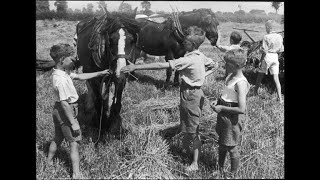 (1934) Paardje - Albert de Booy