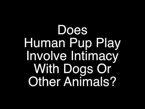 Does Human Pup Play Involve Actual Animal Play (Beastiality?) - The Happy Pup