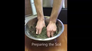 2016 Winter: Kneading Compaction Simulation of Cohesive Soil
