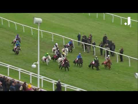 CRAZY SHETLAND PONY RACE AT CHELTENHAM RACECOURSE