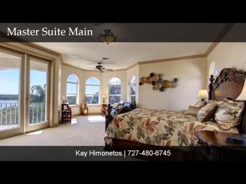 2025 Harbour Watch Circle, Tarpon Springs, FL, 34689