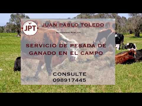 Festival de Villa Del Rosario 2025 - Dia Sábado - Montas en Pelo