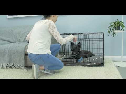 Fido Classic Hundebox - Sicher und platzsparend