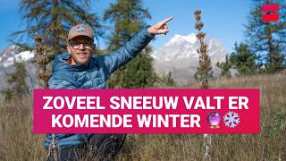 Zoveel sneeuw valt er komende winter! De Gele Gentiaan heeft gesproken